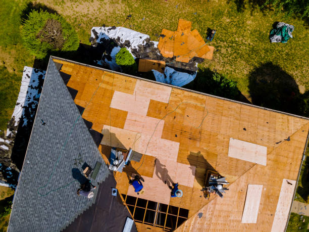Best Metal Roofing Contractor  in Spotsylnia Courthouse, VA