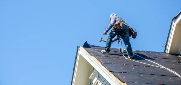 Best Roof Gutter Cleaning  in Spotsylnia Courthouse, VA